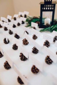 Pine Cone Place Cards 