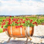 half barrels for gardening
