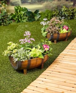 half barrel planter