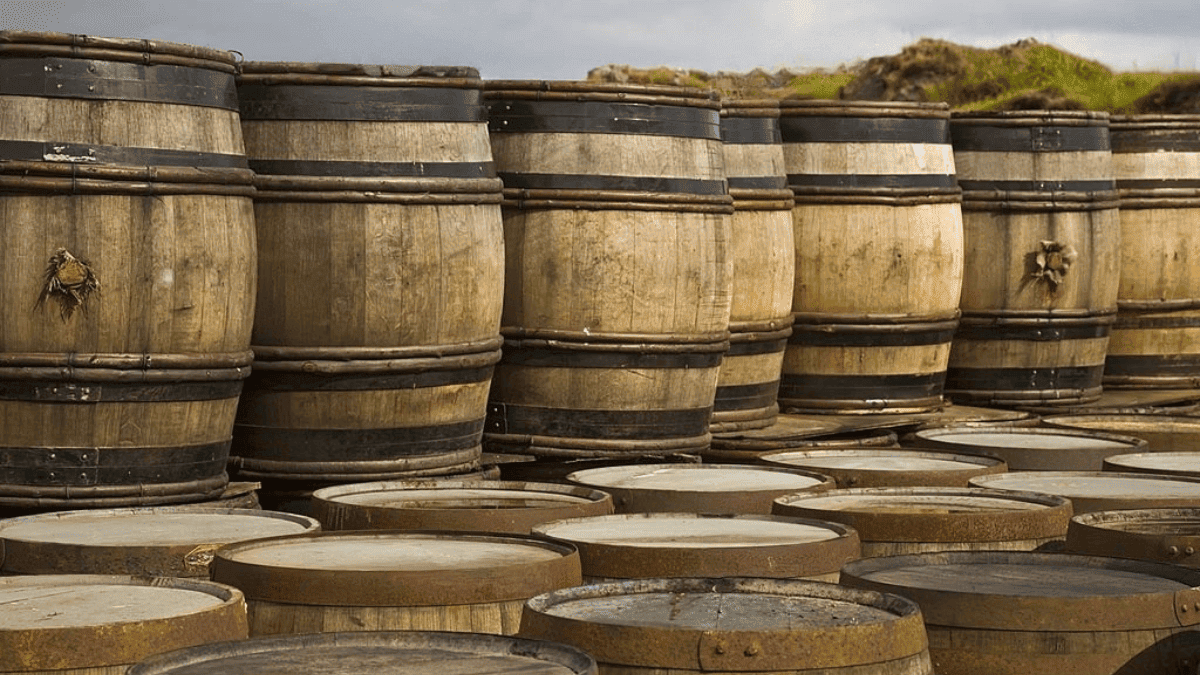 scotch whiskey barrels
