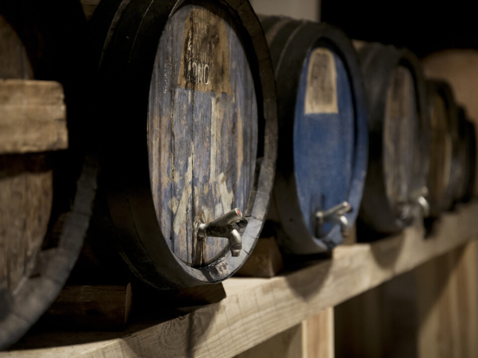 oak barrel maturation