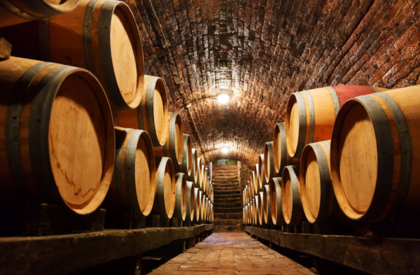 Untitled design – 2024-12-18T112459.677