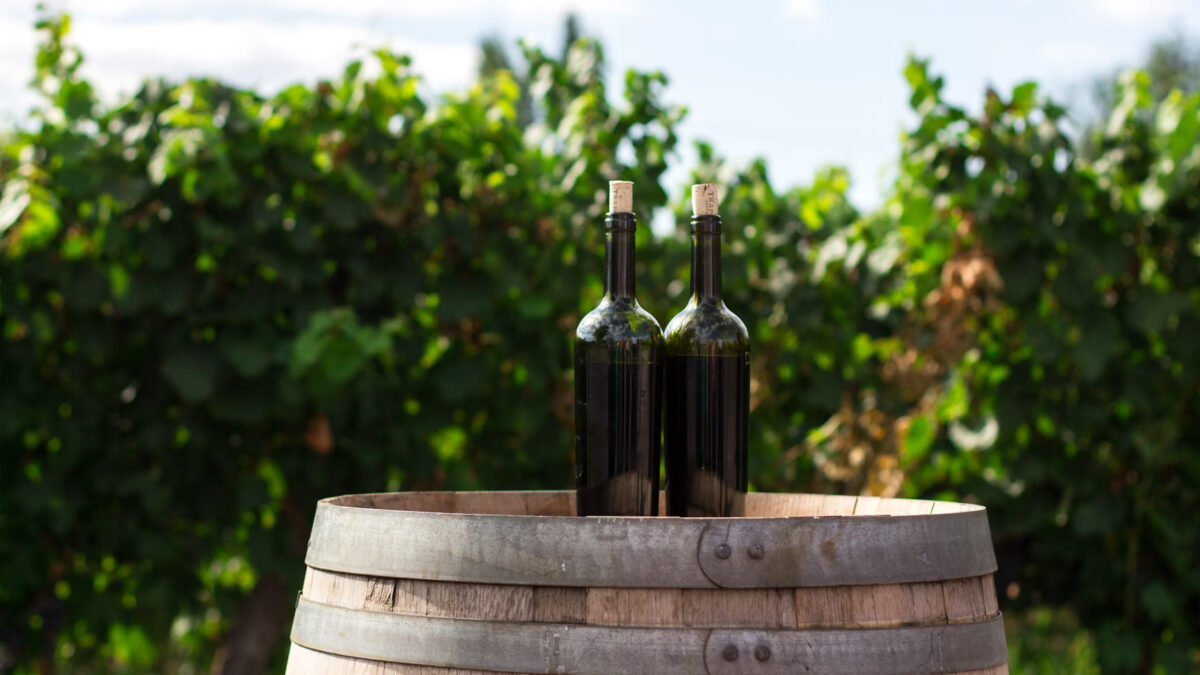 New vs. Used: Which Wine Barrel Should You Choose?