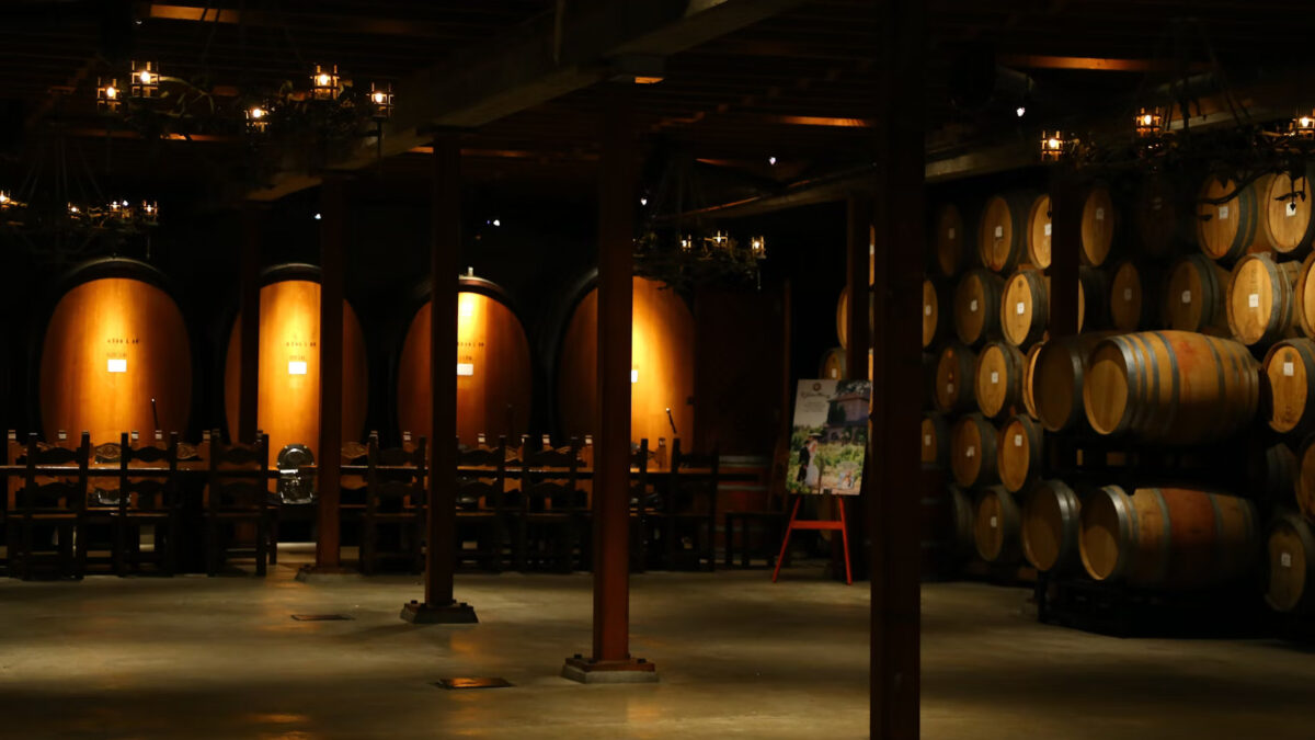 The Full Life Cycle of a Wine Barrel: How It Ages and Transforms