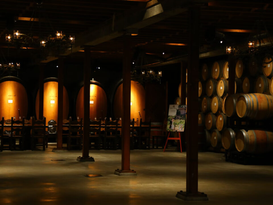 The Full Life Cycle of a Wine Barrel: How It Ages and Transforms