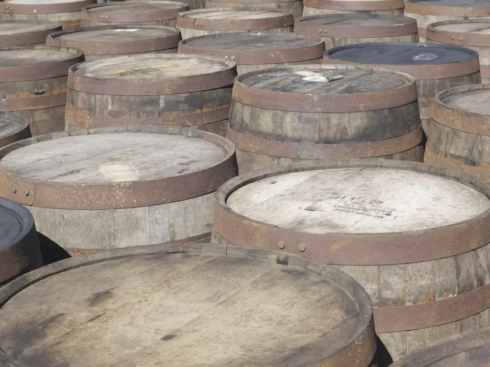 Sustainable Oak: How Barrel Aging Is Evolving for the Future
