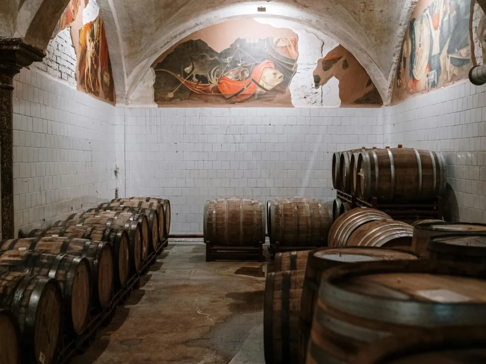 Wine Styles That Benefit Most from Oak Aging
