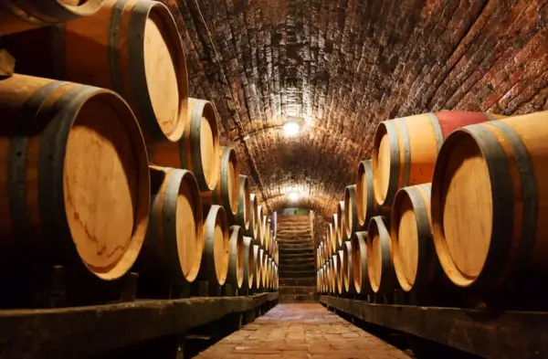 Untitled-design-2024-12-18T112459.677