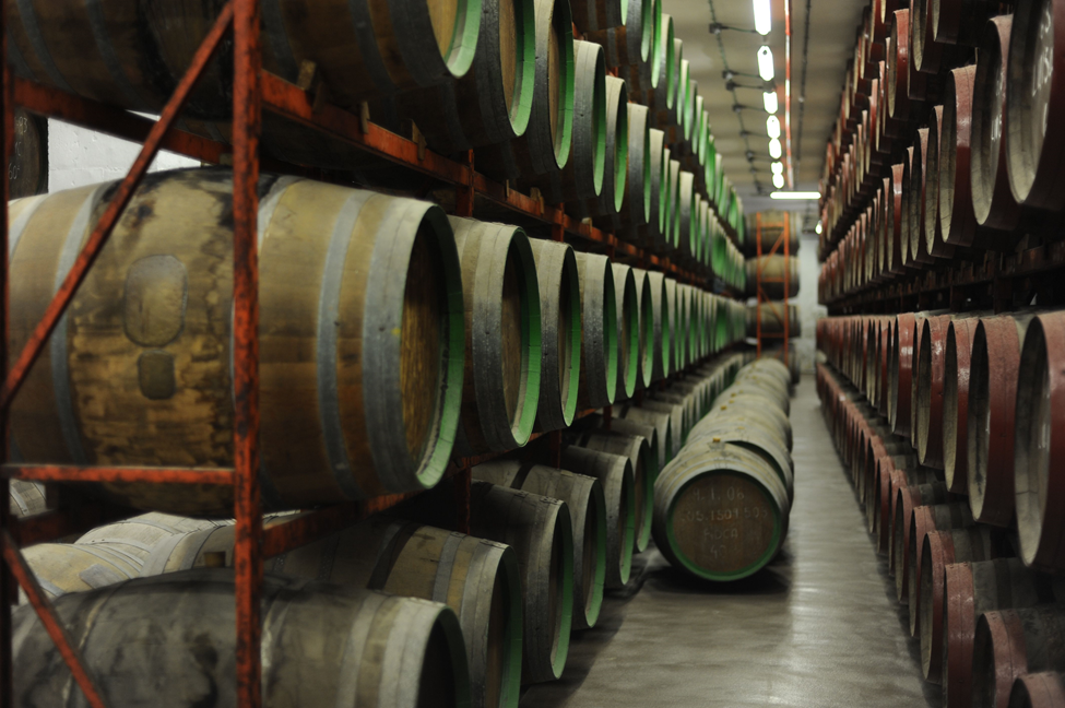 Rows of whiskey barrels aging on racks in a warehouse.