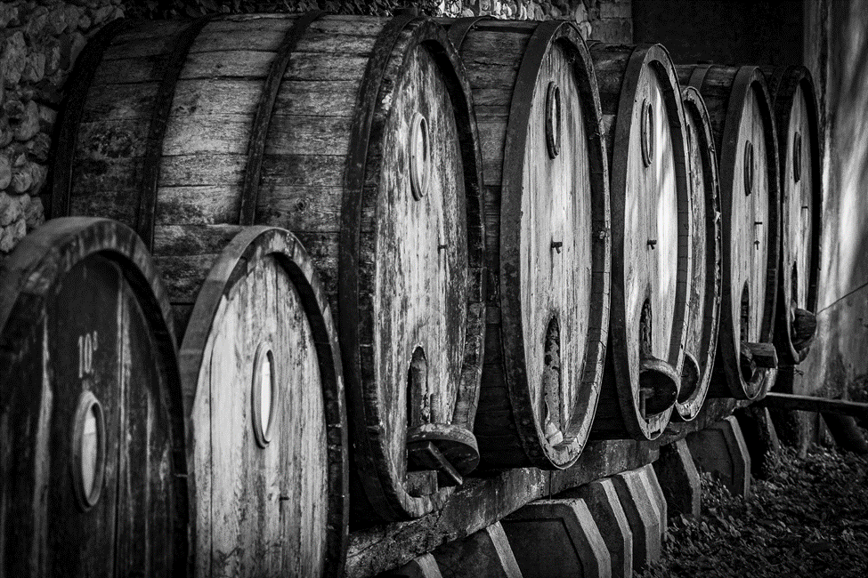 Old weathered wooden barrels lined up in a row, black and white photo